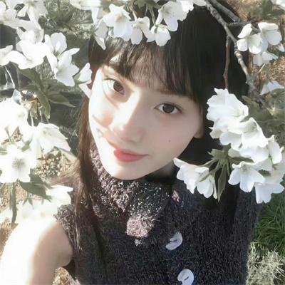 申社长计划